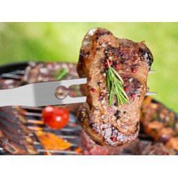 BBQ grilio rinkinys, nerūdijantis plienas, lagaminas, 26 vnt., termometras, dovana