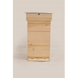 Didžiosios Lenkijos avilys iš Wejmutka pušies