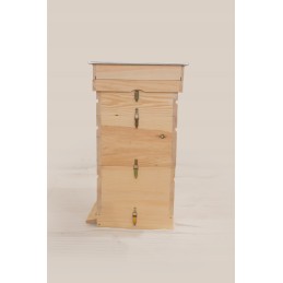 Didžiosios Lenkijos avilys iš Wejmutka pušies