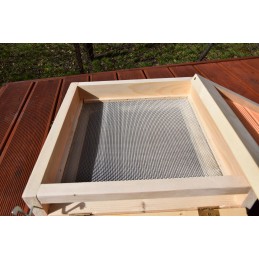 Didžiosios Lenkijos avilys iš Wejmutka pušies