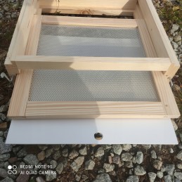 Bičių avilys su 10 rėmelių, Didžiosios Lenkijos bitės