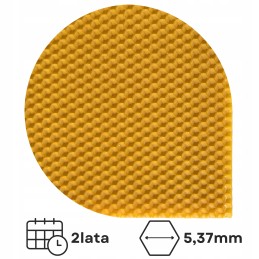 Didžiosios Lenkijos bičių gyvatė 1 2 Lyson 5kg išbandytas natūralus bičių vaškas 5kg