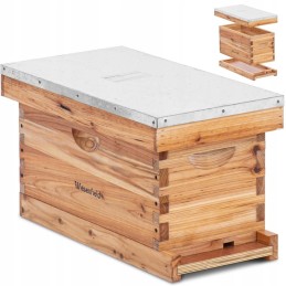 Bičių avilys, medinis transporteris, plieninis gaubtas, kininė eglė