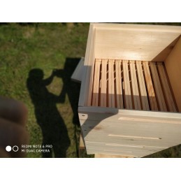Wielkopolska avilys, pilnas komplektas, 18 cm, balta pušis