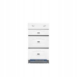 Wielkopolska 10 rėmų avilys su žemu plastikiniu dugnu