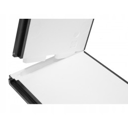 Wielkopolska 10 rėmų avilys