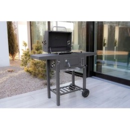 Profesionali sodo kepsninė su anglimis + lentynos + peleninė + dangtis + grotelės