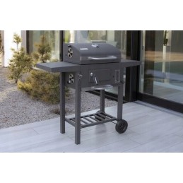 Profesionali sodo kepsninė su anglimis + lentynos + peleninė + dangtis + grotelės