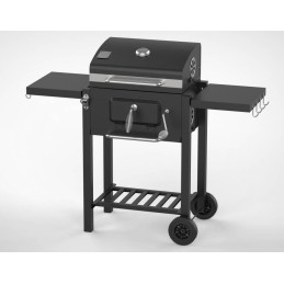 Profesionali sodo kepsninė su anglimis + lentynos + peleninė + dangtis + grotelės