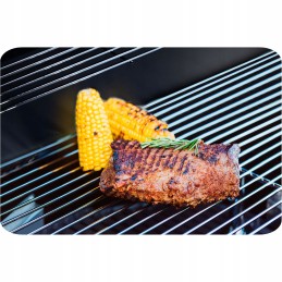 Teesa bbq 2000 dujinis grilis 2 degikliais