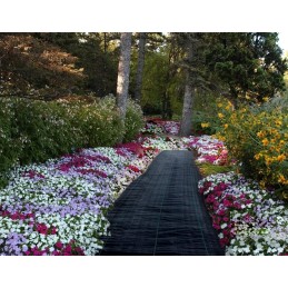 Nuo piktžolių agrotekstilė agrotekstilė 70g 1,6x10m piktžolėms