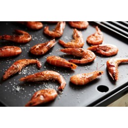 Barbecook grilio lėkštė, grilio priedai, ketaus, emaliuotas, tinka quisson ir siesta griliams, juodas