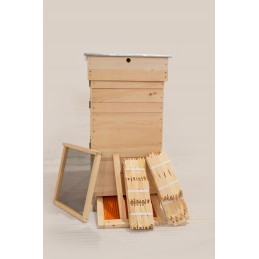 Wielkopolska avilys iš baltos pušies, pilnas komplektas