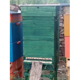 Wielkopolska avilys iš baltos pušies, pilnas komplektas