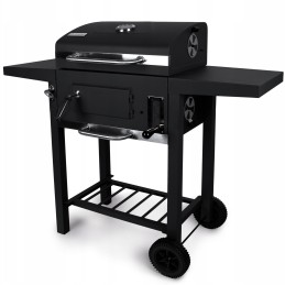 Profesionali sodo kepsninė su anglimis + lentynos + peleninė + dangtis + grotelės