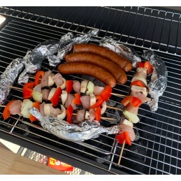 Profesionali sodo kepsninė su anglimis + lentynos + peleninė + dangtis + grotelės