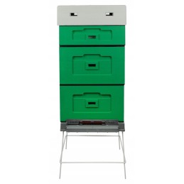 Avilys WL OPTIMA, nesusuktas DARK GREEN STANDARD