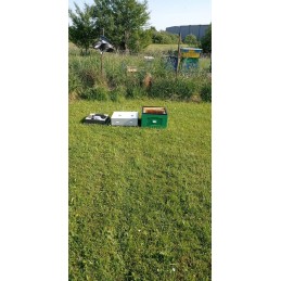 Wielkopolska 10 rėmų avilys