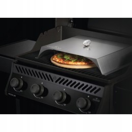 Napoleono picos krosnies starteris