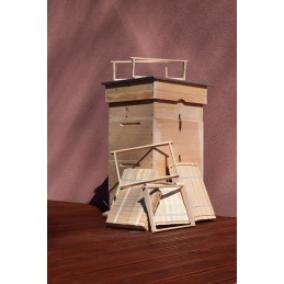 Didžiosios Lenkijos avilys 12ramkow wejmutka žiedadulkių rinkėjas