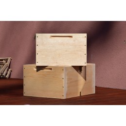 Didžiosios Lenkijos avilys 12ramkow wejmutka žiedadulkių rinkėjas