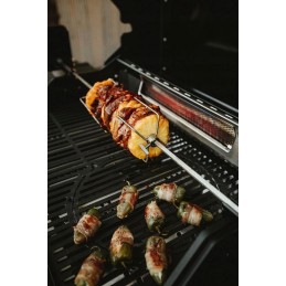 Pro rotisserie, skirta Monroe / Bostono / Kolorado / Kanzaso / Čikagos Enders kepsniams