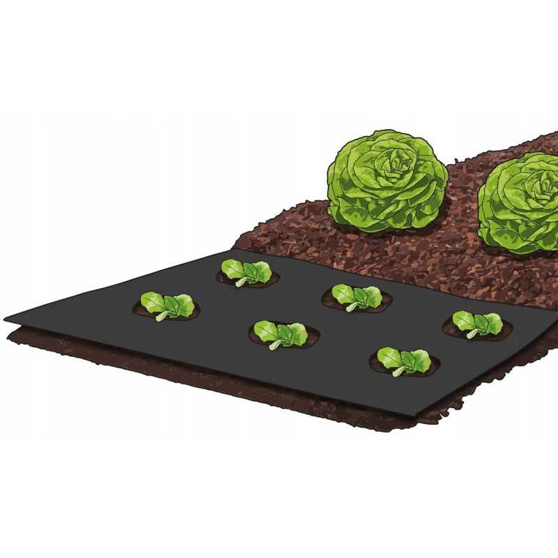 Sodo neaustinis audinys