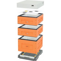 ul dadant optima, dažytas (oranžinis), nesusuktas