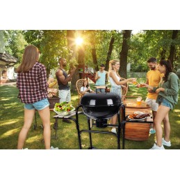 Sodo kepsninė su anglimis ant ratų, didelė keptuvė, 3x lentynos, bbq briketų grilis
