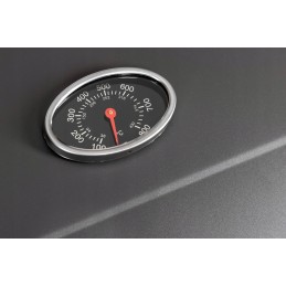 Kampinės sodo kepsninės su anglimis su ketaus grotelėmis