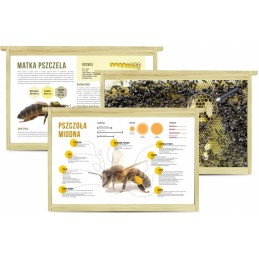 Siūlome MOKYMOSIOS LENTELES - LABAI GERAS PRODUKTAS!!!