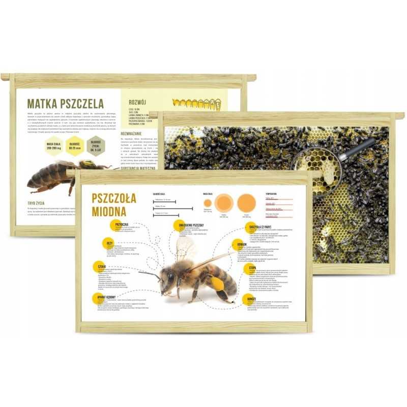 Siūlome MOKYMOSIOS LENTELES - LABAI GERAS PRODUKTAS!!!