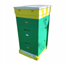 Wielkopolska avilys, 10 rėmų, dažytas polistirolas