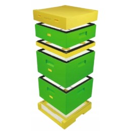 Wielkopolska avilys, 10 rėmų, dažytas polistirolas