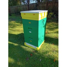 Wielkopolska avilys, 10 rėmų, dažytas polistirolas