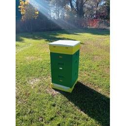 Wielkopolska avilys, 10 rėmų, dažytas polistirolas