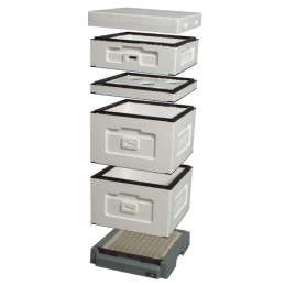 UL WIELKOPOLSKI 10 rėmų