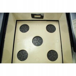 Ul dadant 10 rėmo poliuretano lyson nieskreco