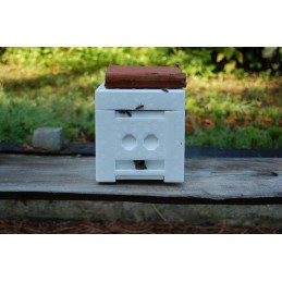 Vestuvinis avilys – mamų apvaisinimas