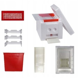 Vestuvinis avilys – mamų apvaisinimas