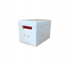 Vestuvinis avilys – mamų apvaisinimas