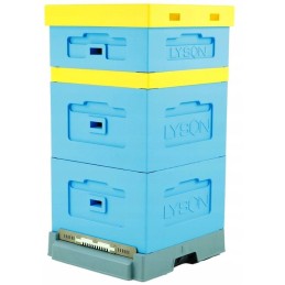 Siūlome UL WIELKOPOLSKI 10 rėmelius - LABAI GERAI!