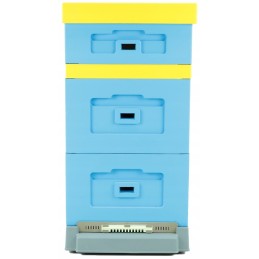 Siūlome UL WIELKOPOLSKI 10 rėmelius - LABAI GERAI!