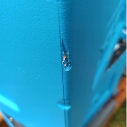 Wielkopolska 10 rėmų avilys su aukštu, higienišku plastikiniu dugnu