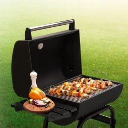 ⭐⭐Didelė Landgraf sodo kepsninė + lentynos + peleninė⭐⭐