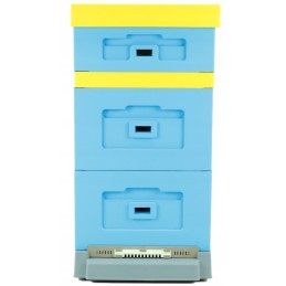 Wielkopolska avilys, dugno aukštis, aukšt. dažytas plastikas