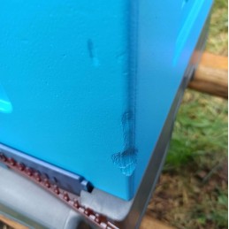 Wielkopolska avilys, dugno aukštis, aukšt. dažytas plastikas