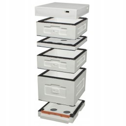 Dadant avilys žemu dugnu – nedažytas