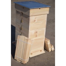 Ul dadant 10 r wejmutka pilnas variantas su rėmeliais