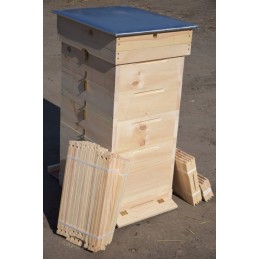 Ul dadant 10 r wejmutka pilnas variantas su rėmeliais